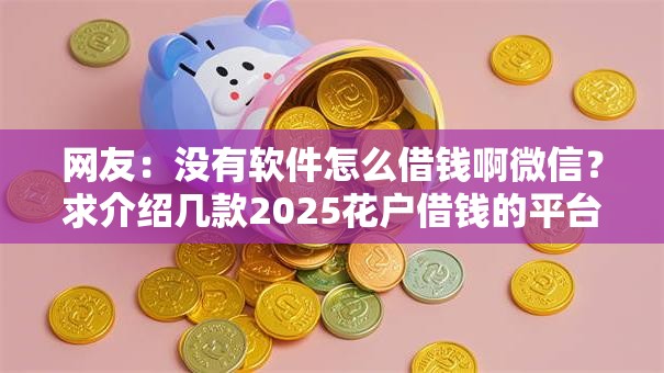 网友：没有软件怎么借钱啊微信？求介绍几款2025花户借钱的平台100%能借到