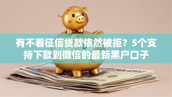 有不看征信贷款依然被拒？5个支持下款到微信的最新黑户口子
