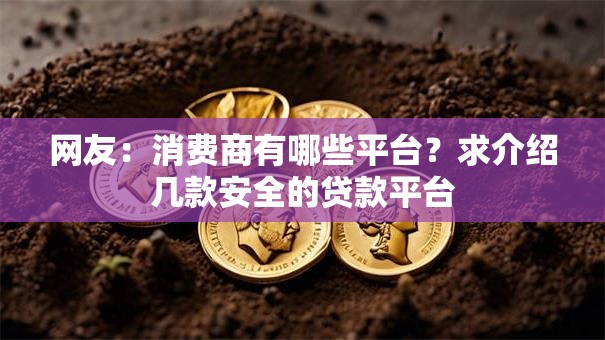 网友：消费商有哪些平台？求介绍几款安全的贷款平台