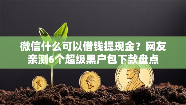微信什么可以借钱提现金？网友亲测6个超级黑户包下款盘点