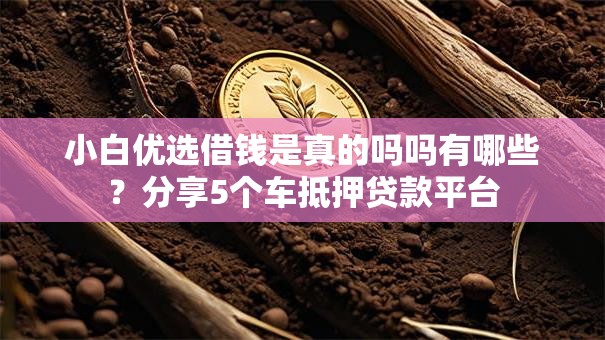 小白优选借钱是真的吗吗有哪些？分享5个车抵押贷款平台