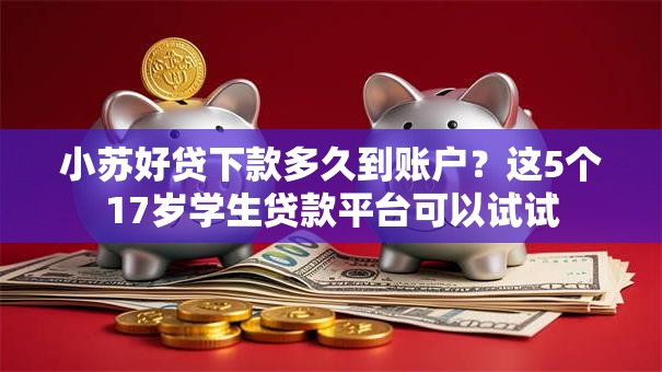 小苏好贷下款多久到账户？这5个17岁学生贷款平台可以试试