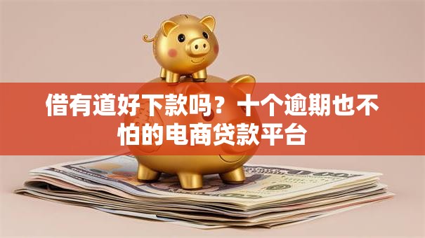 借有道好下款吗？十个逾期也不怕的电商贷款平台