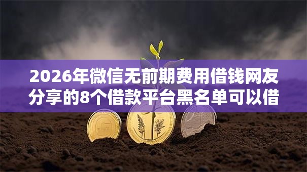 2026年微信无前期费用借钱网友分享的8个借款平台黑名单可以借钱我觉得不错！