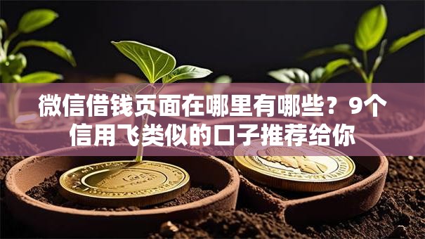 微信借钱页面在哪里有哪些？9个信用飞类似的口子推荐给你