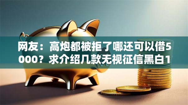 网友：高炮都被拒了哪还可以借5000？求介绍几款无视征信黑白100%秒下网贷口子