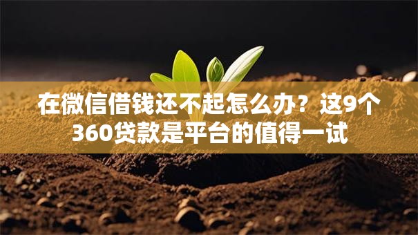 在微信借钱还不起怎么办?这9个360贷款是平台的值得一试 在微信借钱还不起怎么办?这9个360贷款是平台的值得一试