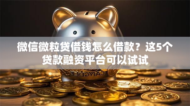 微信微粒贷借钱怎么借款？这5个贷款融资平台可以试试