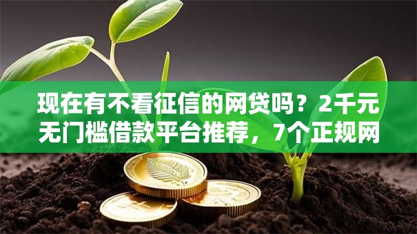 现在有不看征信的网贷吗？2千元无门槛借款平台推荐，7个正规网络贷款平台盘点