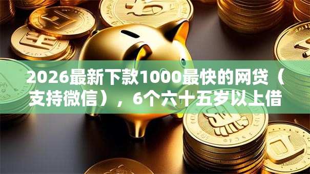 2026最新下款1000最快的网贷（支持微信），6个六十五岁以上借款平台无私分享