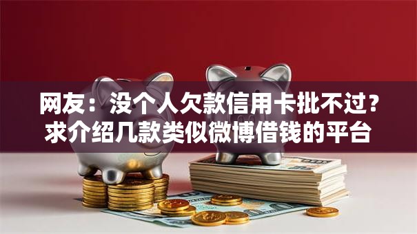 网友：没个人欠款信用卡批不过？求介绍几款类似微博借钱的平台