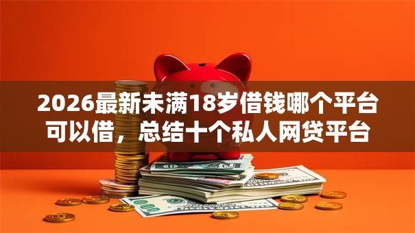 2026最新未满18岁借钱哪个平台可以借，总结十个私人网贷平台！