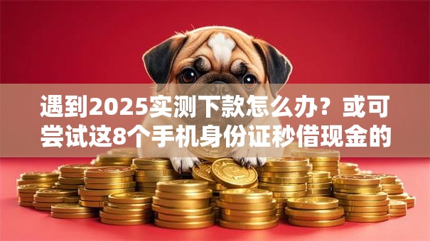 遇到2025实测下款怎么办？或可尝试这8个手机身份证秒借现金的口子