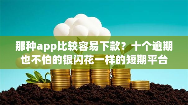 那种app比较容易下款？十个逾期也不怕的银闪花一样的短期平台