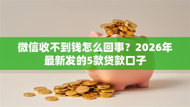 微信收不到钱怎么回事？2026年最新发的5款贷款口子