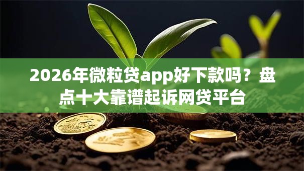 2026年微粒贷app好下款吗？盘点十大靠谱起诉网贷平台