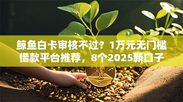 鲸鱼白卡审核不过？1万元无门槛借款平台推荐，8个2025新口子盘点