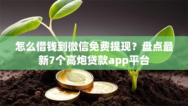 怎么借钱到微信免费提现？盘点最新7个高炮贷款app平台