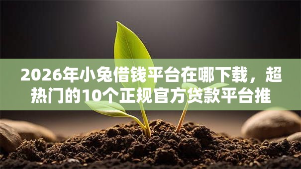 2026年小兔借钱平台在哪下载，超热门的10个正规官方贷款平台推荐