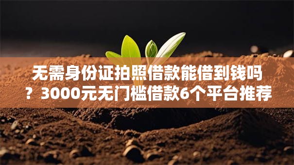 无需身份证拍照借款能借到钱吗？3000元无门槛借款6个平台推荐