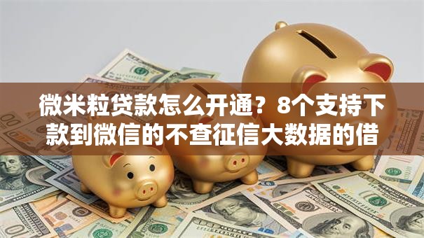 微米粒贷款怎么开通？8个支持下款到微信的不查征信大数据的借款平台百分百通过