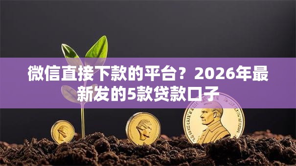 微信直接下款的平台?2026年最新发的5款贷款口子 微信直接下款的平台?2026年最新发的5款贷款口子