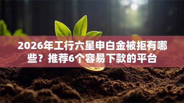 2026年工行六星申白金被拒有哪些？推荐6个容易下款的平台