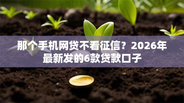 那个手机网贷不看征信？2026年最新发的6款贷款口子