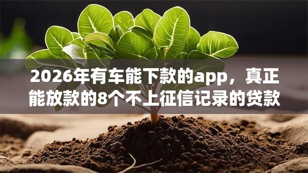2026年有车能下款的app，真正能放款的8个不上征信记录的贷款平台推荐