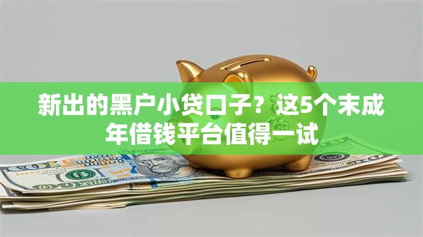 新出的黑户小贷口子？这5个末成年借钱平台值得一试