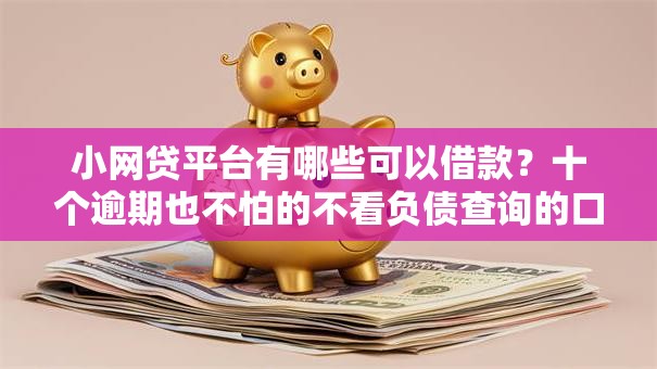小网贷平台有哪些可以借款？十个逾期也不怕的不看负债查询的口子
