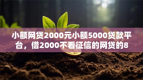 小额网贷2000元小额5000贷款平台，借2000不看征信的网贷的8个平台介绍