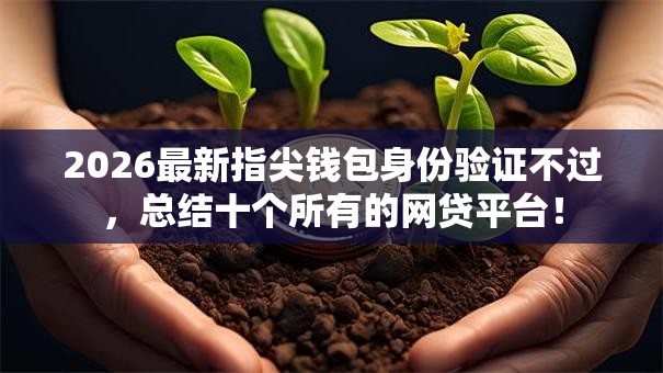 2026最新指尖钱包身份验证不过，总结十个所有的网贷平台！