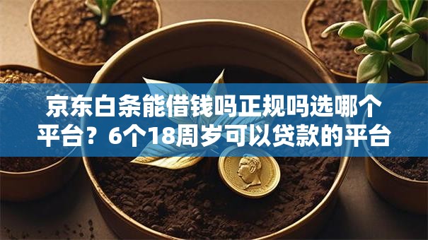 京东白条能借钱吗正规吗选哪个平台？6个18周岁可以贷款的平台推荐
