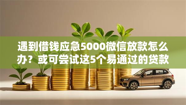 遇到借钱应急5000微信放款怎么办?或可尝试这5个易通过的贷款平台 遇到借钱应急5000微信放款怎么办?或可尝试这5个易通过的贷款平台