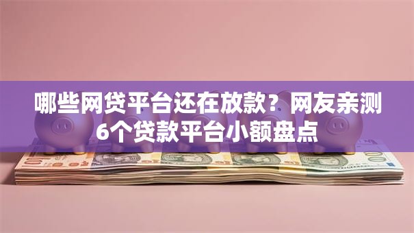 哪些网贷平台还在放款？网友亲测6个贷款平台小额盘点