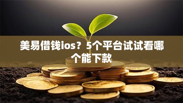 美易借钱ios？5个平台试试看哪个能下款