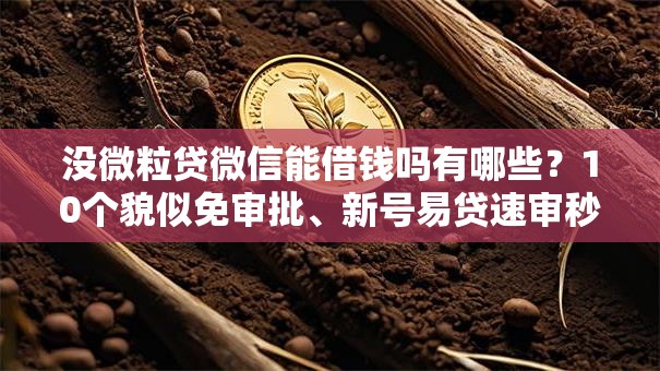 没微粒贷微信能借钱吗有哪些？10个貌似免审批、新号易贷速审秒下款软件合集