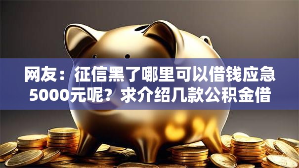 网友：征信黑了哪里可以借钱应急5000元呢？求介绍几款公积金借钱口子