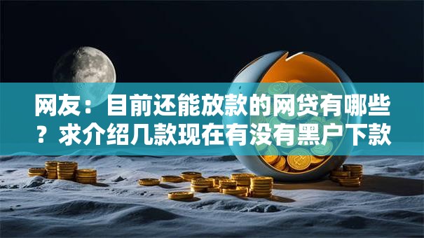 网友：目前还能放款的网贷有哪些？求介绍几款现在有没有黑户下款的口子