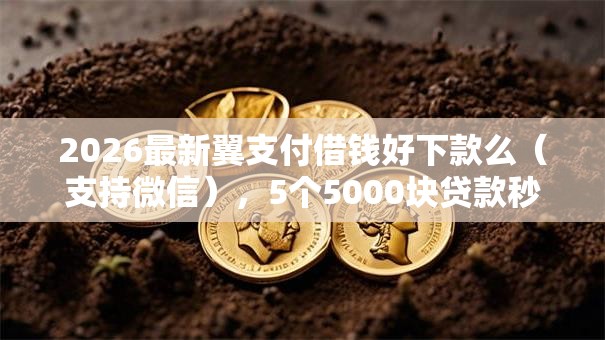2026最新翼支付借钱好下款么（支持微信），5个5000块贷款秒下平台无私分享