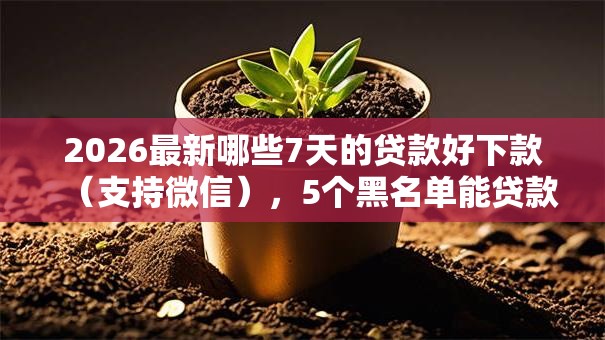 2026最新哪些7天的贷款好下款（支持微信），5个黑名单能贷款的平台无私分享