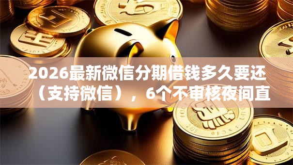 2026最新微信分期借钱多久要还（支持微信），6个不审核夜间直接放款的网贷口子无私分享
