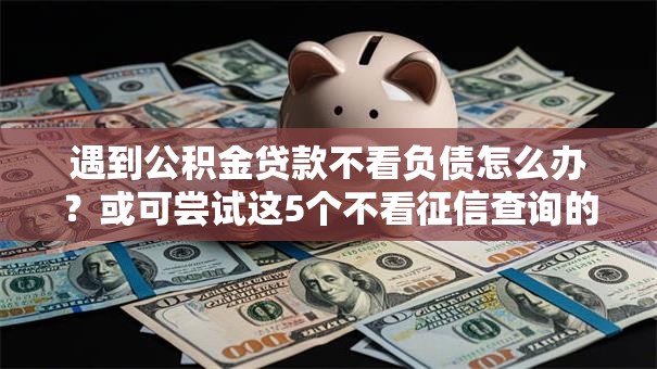 遇到公积金贷款不看负债怎么办？或可尝试这5个不看征信查询的软件