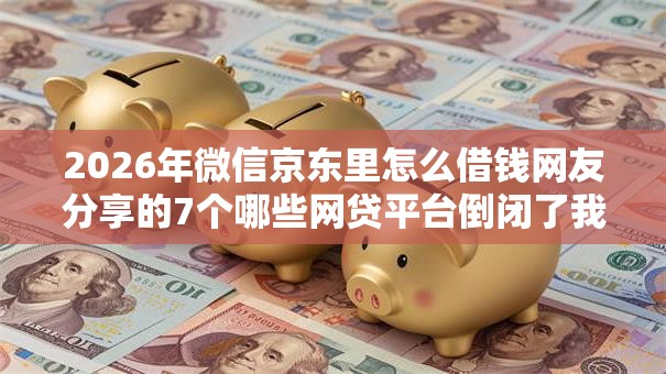 2026年微信京东里怎么借钱网友分享的7个哪些网贷平台倒闭了我觉得不错！