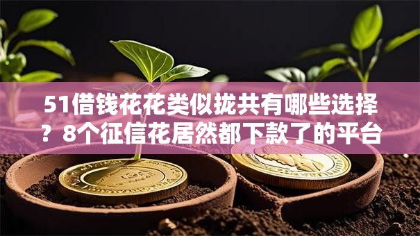 51借钱花花类似拢共有哪些选择？8个征信花居然都下款了的平台详解