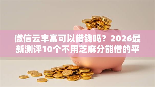 微信云丰富可以借钱吗？2026最新测评10个不用芝麻分能借的平台