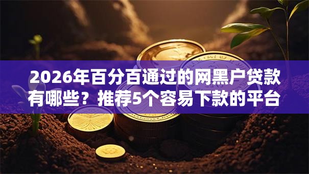 2026年百分百通过的网黑户贷款有哪些？推荐5个容易下款的平台