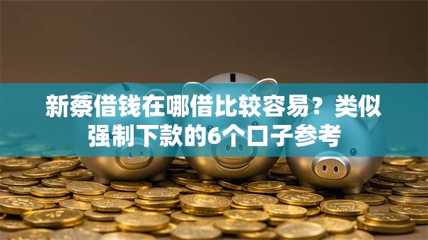 新蔡借钱在哪借比较容易？类似强制下款的6个口子参考