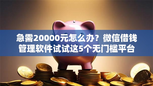 急需20000元怎么办？微信借钱管理软件试试这5个无门槛平台